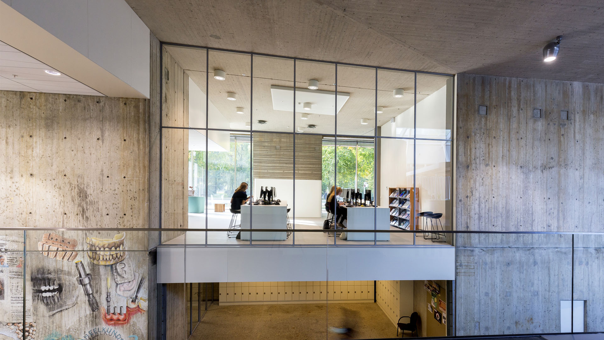 Interior glass walls at the Radboud University of dentist in Nijmegen, the Netherlands